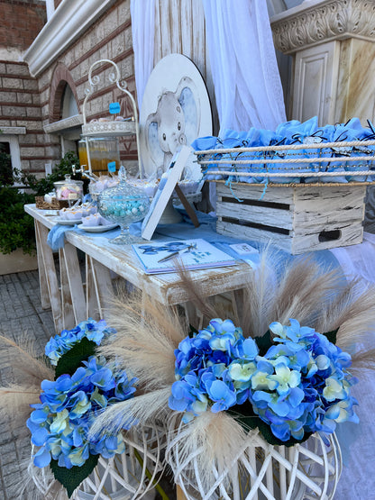 Βάφτιση με θέμα ελεφαντάκι